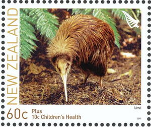 North Island Brown Kiwi (Apteryx mantelli)